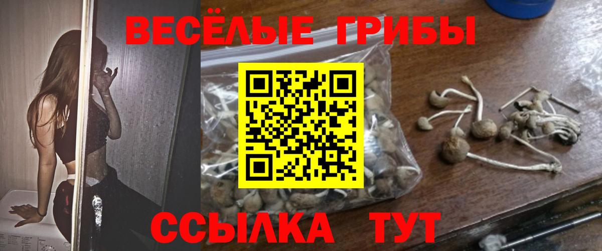 купить наркотик  Вход с VPN  Галлюциногенные грибы MAGIC MUSHROOMS  Зеленокумск  Галлюциногенные грибы мицелий 
